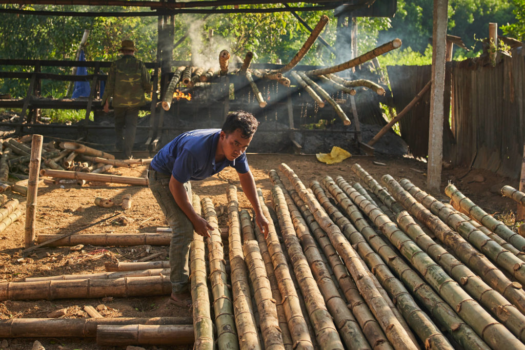 Harvest team gathering bamboo in the jungle
