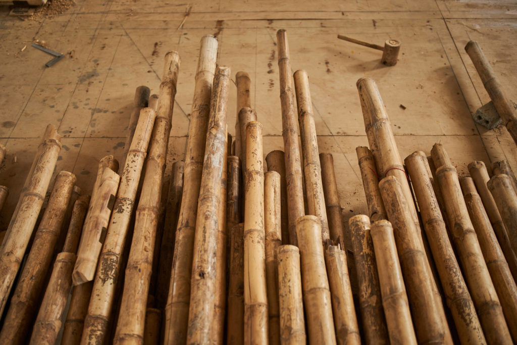 Freshly cut bamboo being carried out of the grove