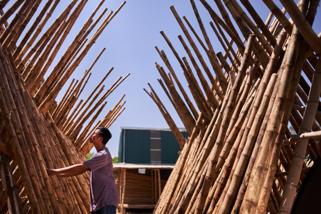 Bamboo poles during the treatment process at the production facility