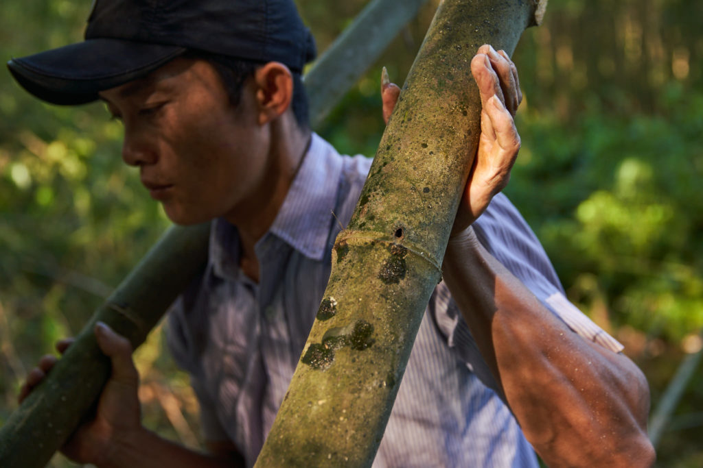Close-up of hands shaping bamboo for a handmade Bamboo Living home