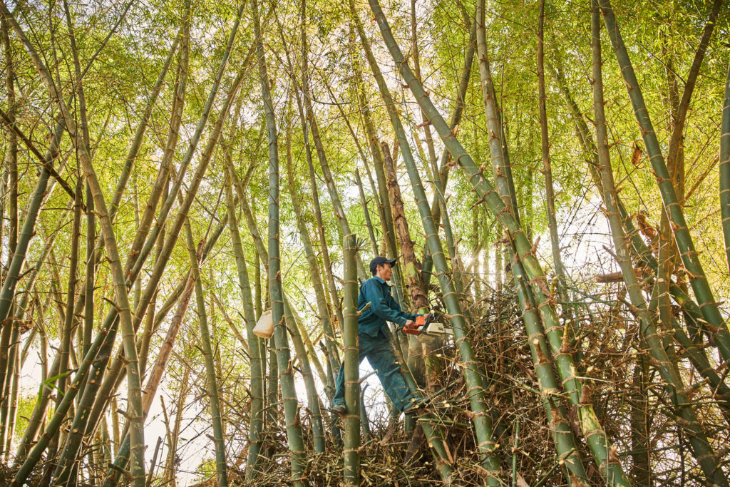 Bamboo Living artisan photographed at the workshop in Vietnam