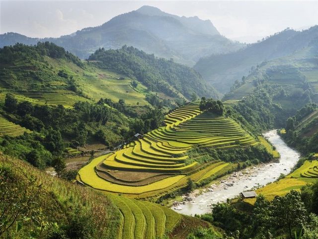 Terraced rice fields in the highlands of northern Vietnam