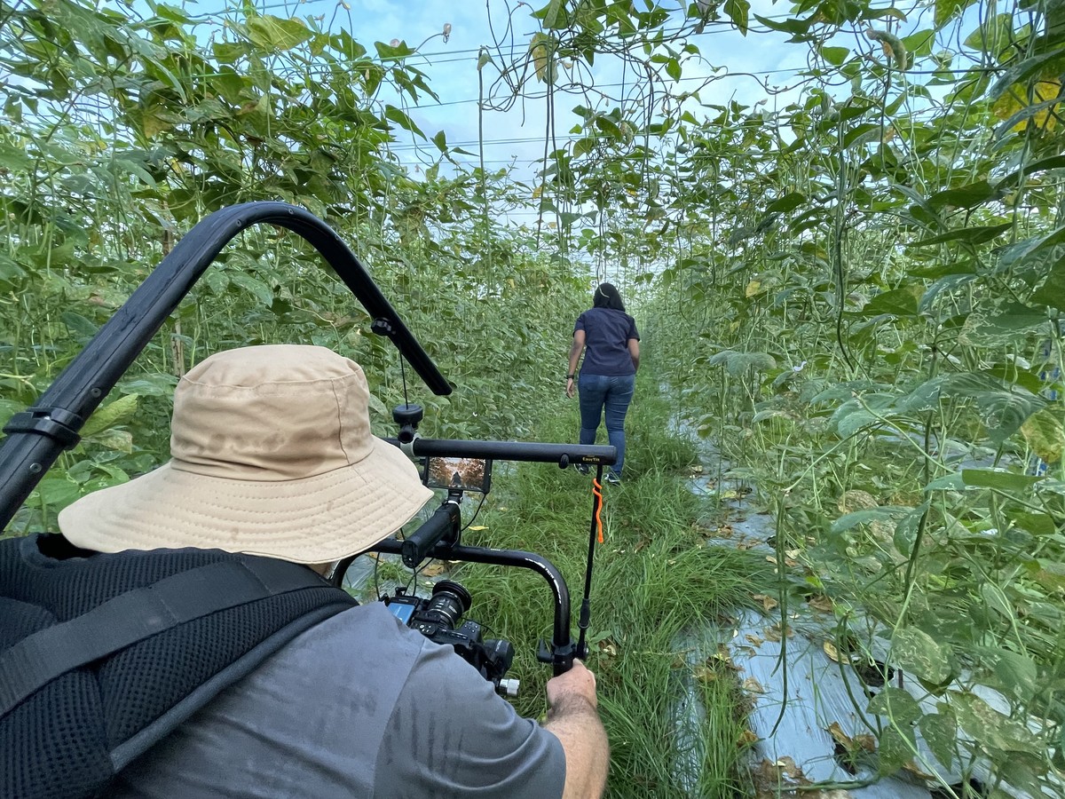 Behind the scenes filming a corporate recruitment video on location at an agricultural site in Malaysia